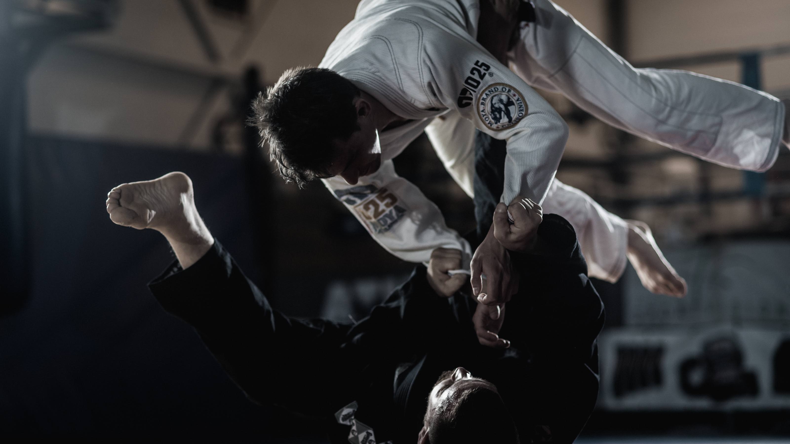 ASPIS Academy Training